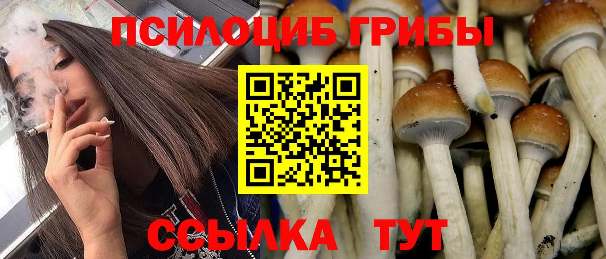 Крымск  Галлюциногенные грибы Magic Shrooms  купить закладку  Вход с VPN  Галлюциногенные грибы прущие грибы 